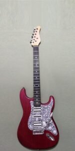 DIY #12 Strat Style generic kit