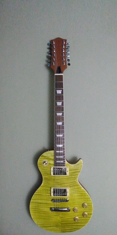 DIY #15 12-String LP Style believed to be from Bargain Musician