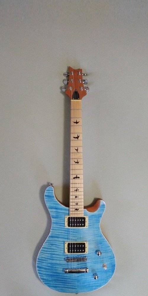 DIY #2 PRS Style from Budreau Guitars