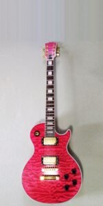 DIY #16 Les Paul from Bad Cat