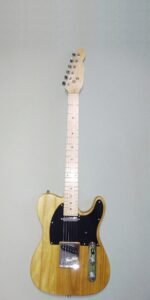 DIY #22 Tele from Tunecraft Guitars a.k.a. The Fretwire
