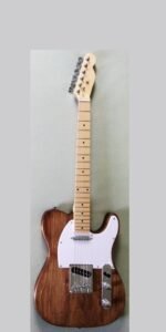 DIY #32 Leo Jaymz Tele-style